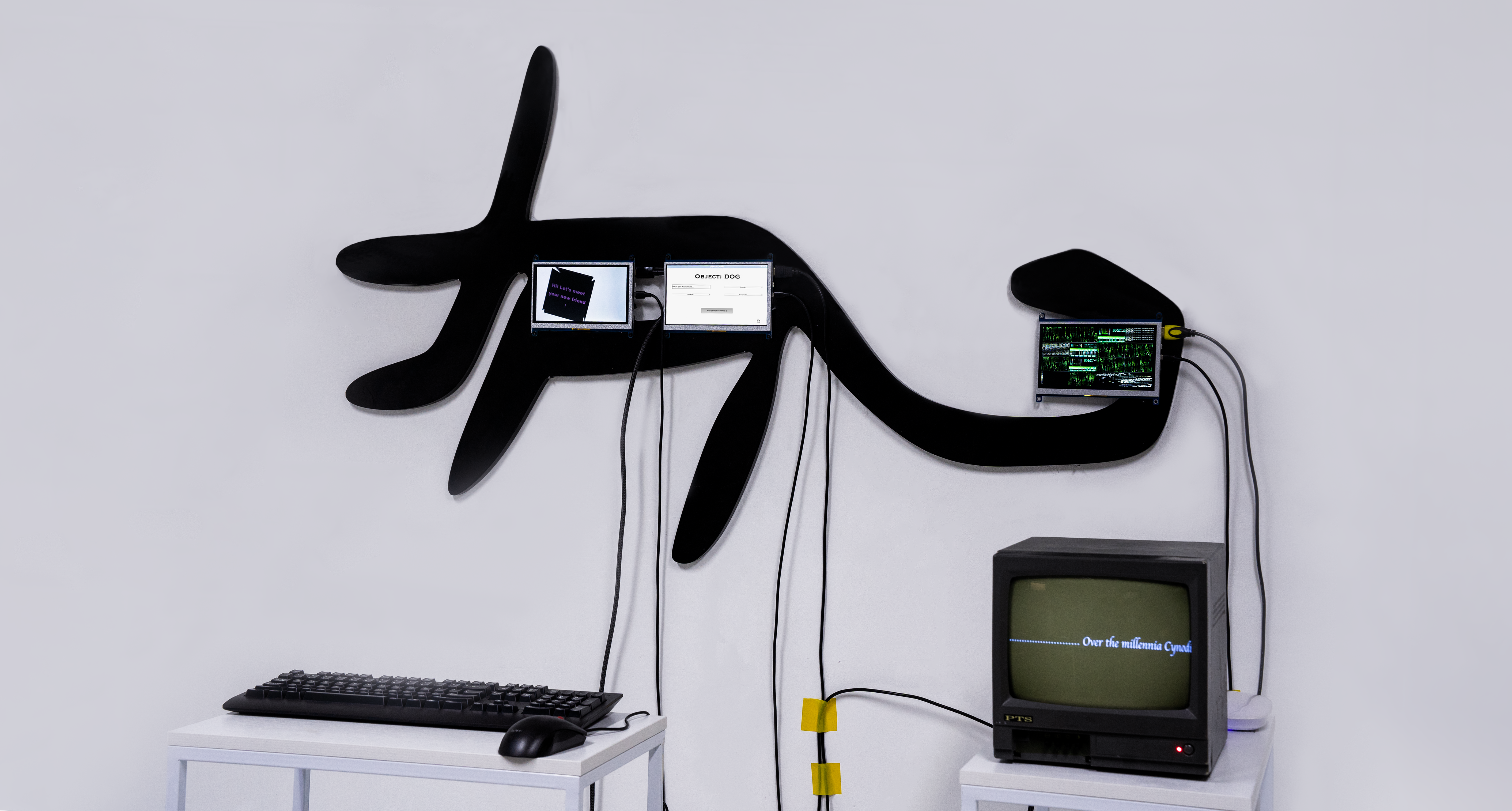 HyperDog — installation view