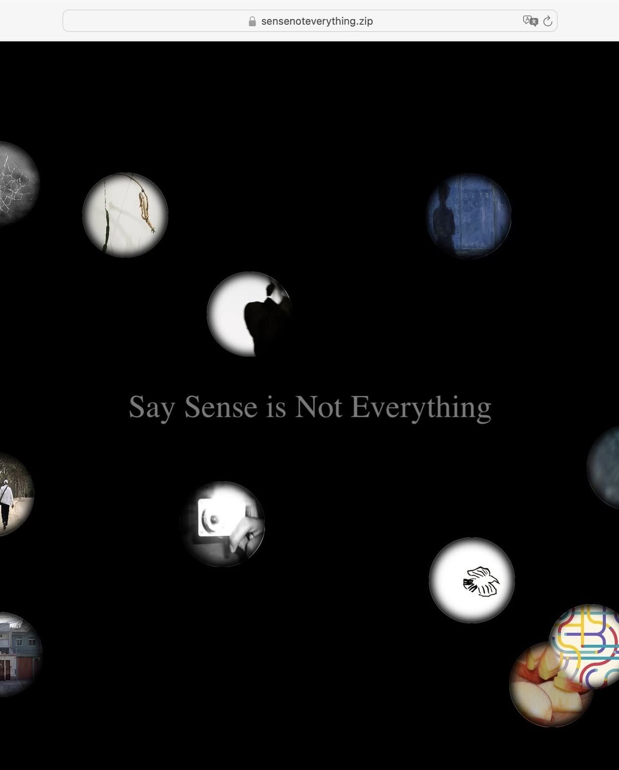 Say Sense is Not Everything — sensenoteverything.zip